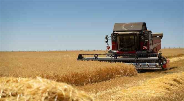 Yerli Üreticiye Global Destek