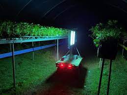 UV ve Robot Teknolojisi, Bahçecilikte Külleme Hastalığını Önlüyor