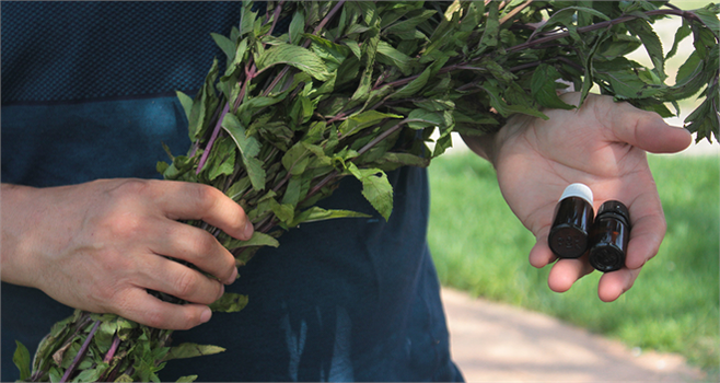 Bu Yağın Litresi 35 Bin TL