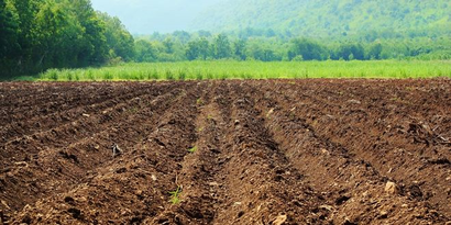 TARIMSAL DESTEKLER YATIRILIYOR!