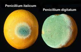 Depo Çürüklüğü ile Mücadele!