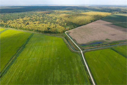 2028 Vizyonu: Dünya Lideri Türkiye, Sera Yetiştiriciliğinde Yeni Bir Çağı Başlatıyor!