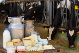 Devam Eden Süt Kıtlığı Nedeniyle İsrail, Altı Ay Daha Yüzde 40 İthalat Vergisini Kaldırdı