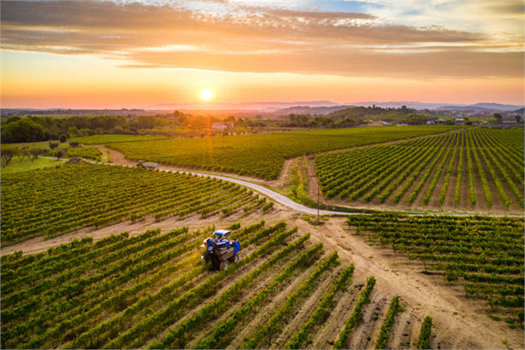 Desteklemeler Ödeniyor!