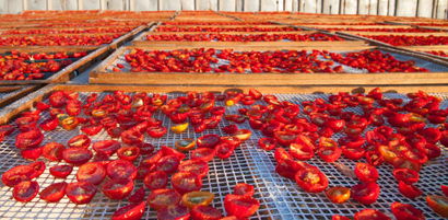 Tarsus Belediyesi Tarımı Canlandırmak İçin Yeni Adımlar Atıyor