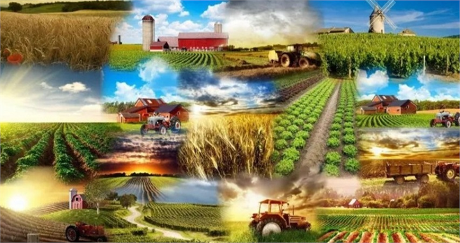 Desteklemeler Bugün Ödeniyor!