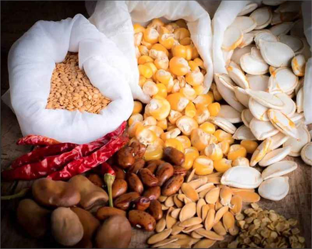 Türkiye Tohumculuk Sektörü: Dışa Bağımlılığı Geride Bırakıyor, Kendi Yeteneğini Kanıtlıyor!