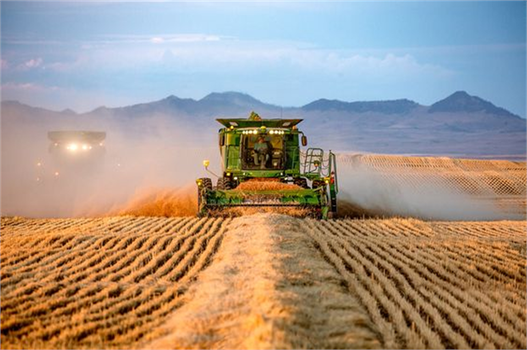 Desteklemeler Bugün Ödeniyor!