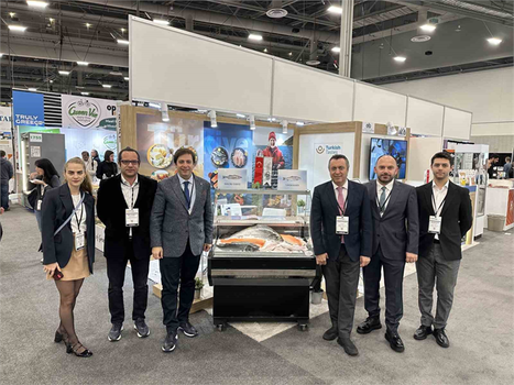 ABD Pazarında Parlayan Yıldız: Türk Su Ürünleri ve Mamulleri 3 Kat Artışla Dikkat Çekiyor!