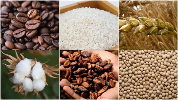 Çin`in Yeni Teşvik Paketleri, Emtia Piyasalarına Canlılık Getirdi