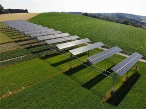 GES Panellerinin Altında Yetiştirilen Ürünlerle Verimlilik Artıyor