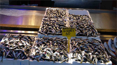 Bereketli Hamsi Sezonu Sona Erdi: İstavrit Tezgahlarda Hakim