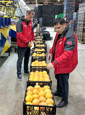 Muğla Portakalları, Ukrayna ve Polonya Pazarına Yola Çıktı