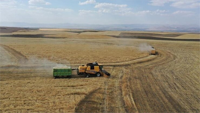 Tarım Maliyetleri Hızla Yükseliyor: Ocak Ayında Yüzde 45,11`lik Enflasyon