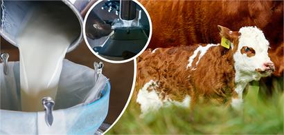 Desteklemeler Ödeniyor!