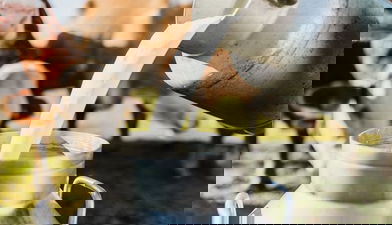 TÜİK Verilerine Göre: Türkiye`nin Süt Sahnesinde 2023`te Neler Değişti?