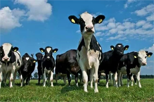 DESTEKLEMELER ÖDENİYOR!