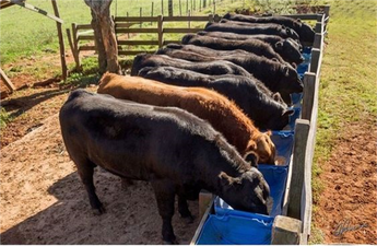 DESTEKLEMELER ÖDENİYOR!