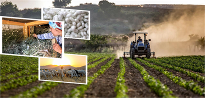 Desteklemeler Ödeniyor!