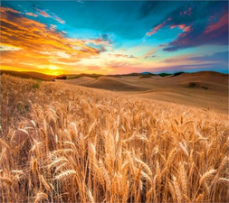 Desteklemeler Ödeniyor!