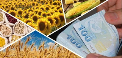 Desteklemeler Ödeniyor!