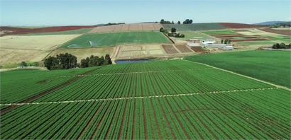 Desteklemeler Ödeniyor!