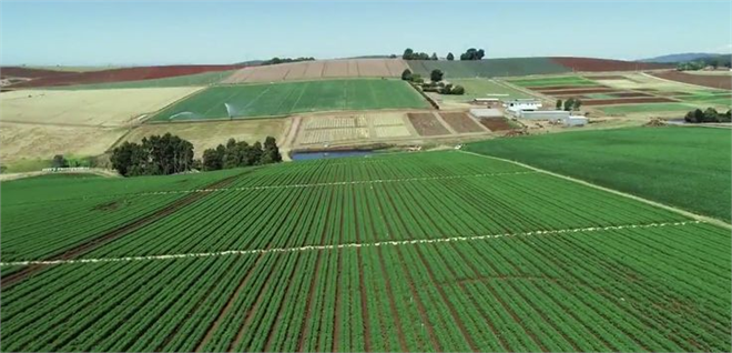 Desteklemeler Ödeniyor!