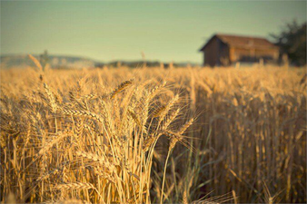 Desteklemeler Ödeniyor!