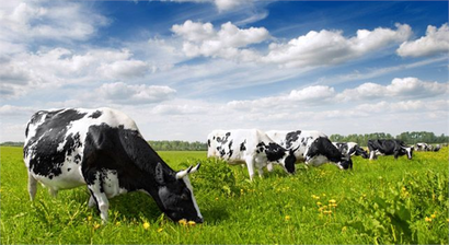 Desteklemeler Ödeniyor!