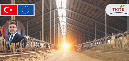 50 MİLYON AVRO HİBE VERİLECEK!