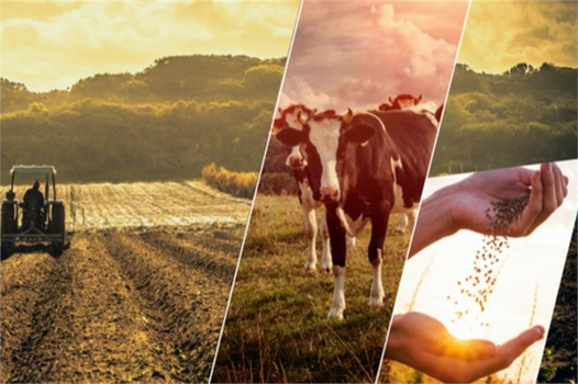 Desteklemeler Ödeniyor!