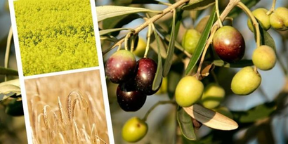 Desteklemeler Ödendi!