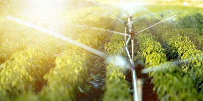 Desteklemeler Ödendi!