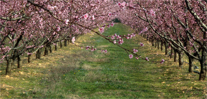 Desteklemeler Ödendi!