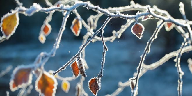 Desteklemeler Ödendi!