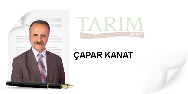 Bazı Tarımsal Yatırımlarda Sıfır Faizli Krediler Yeniden Başlatıldı