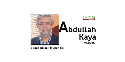 Tarım Bize Emanet, Nurlar İçinde Uyu Abdullah Kaya