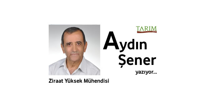 ORGANİK TOPRAK DÜZENLEYİCİSİ OLARAK: HÜMİK ASİT FULVİK ASİT