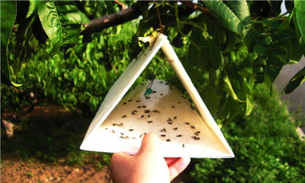 Desteklemeler Ödeniyor!